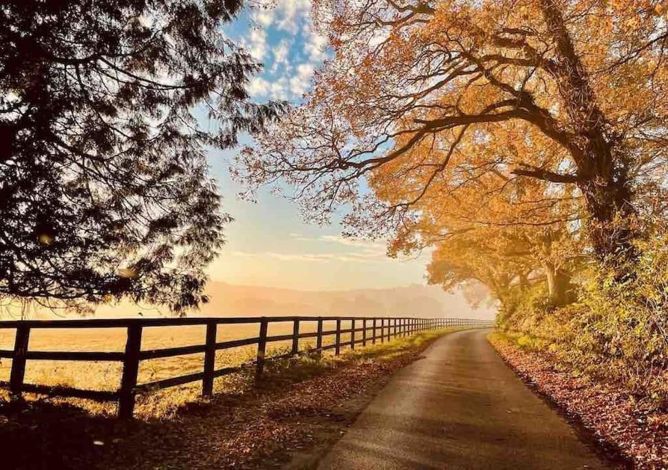 Вилла Aspen Leaves: The Perfect Farm Retreat Graffham Экстерьер фото